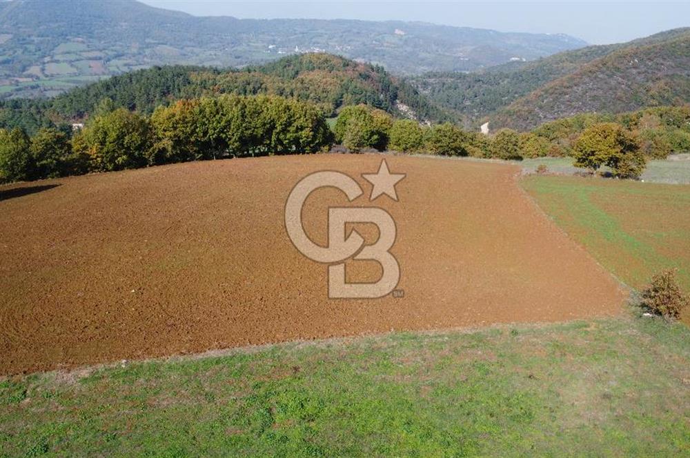 BİGA AKKAYRAK KÖYÜNDE SATILIK 3475 M2 TARLA