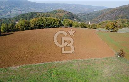 BİGA AKKAYRAK KÖYÜNDE SATILIK 3475 M2 TARLA