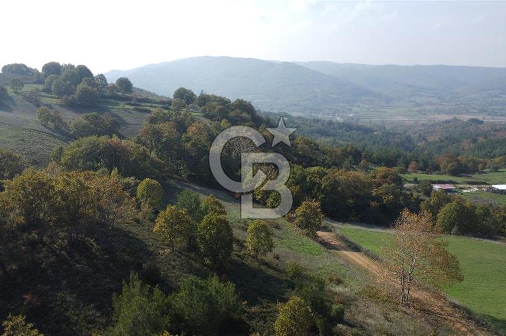 BİGA AKKAYRAK KÖYÜNDE 9250 M2 SATILIK BAĞ!!!