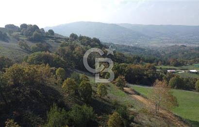 BİGA AKKAYRAK KÖYÜNDE 9250 M2 SATILIK BAĞ!!!