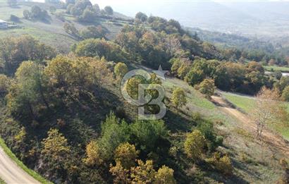 BİGA AKKAYRAK KÖYÜNDE 9250 M2 SATILIK BAĞ!!!