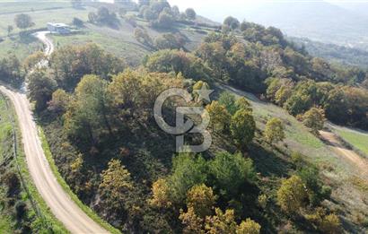 BİGA AKKAYRAK KÖYÜNDE 9250 M2 SATILIK BAĞ!!!