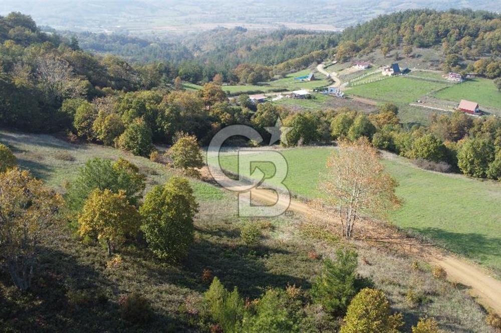 BİGA AKKAYRAK KÖYÜNDE 9250 M2 SATILIK BAĞ!!!