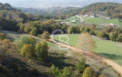 BİGA AKKAYRAK KÖYÜNDE 9250 M2 SATILIK BAĞ!!!