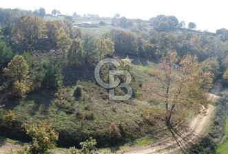 BİGA AKKAYRAK KÖYÜNDE 9250 M2 SATILIK BAĞ!!! - 5 - 312979