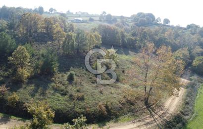 BİGA AKKAYRAK KÖYÜNDE 9250 M2 SATILIK BAĞ!!!