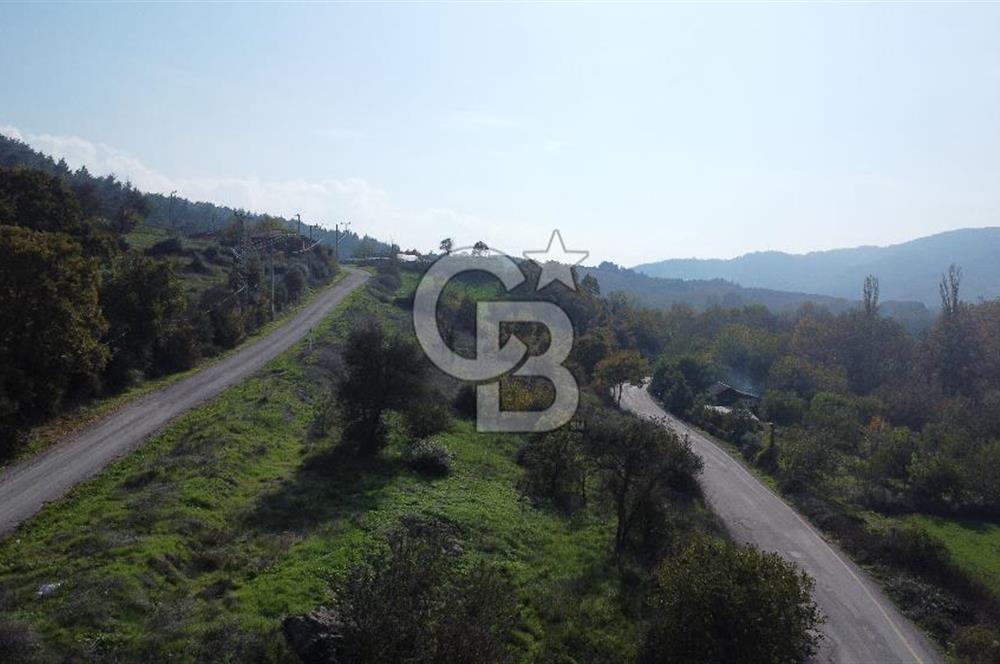 BİGA AKKAYRAK KÖYÜNDE 7337 M2 Sİ İMARLI SATILIK 3/1 HİSSE