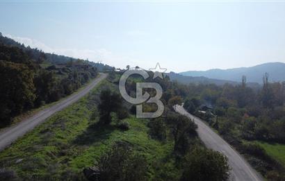 BİGA AKKAYRAK KÖYÜNDE 7337 M2 Sİ İMARLI SATILIK 3/1 HİSSE