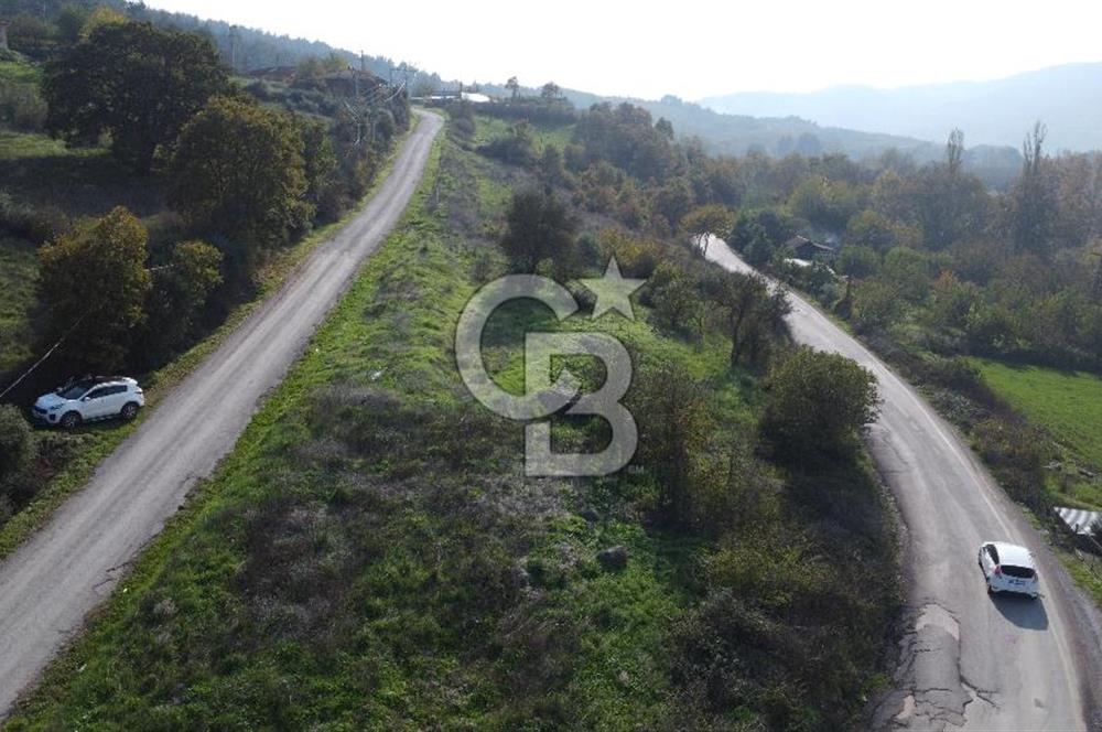 BİGA AKKAYRAK KÖYÜNDE 7337 M2 Sİ İMARLI SATILIK 3/1 HİSSE