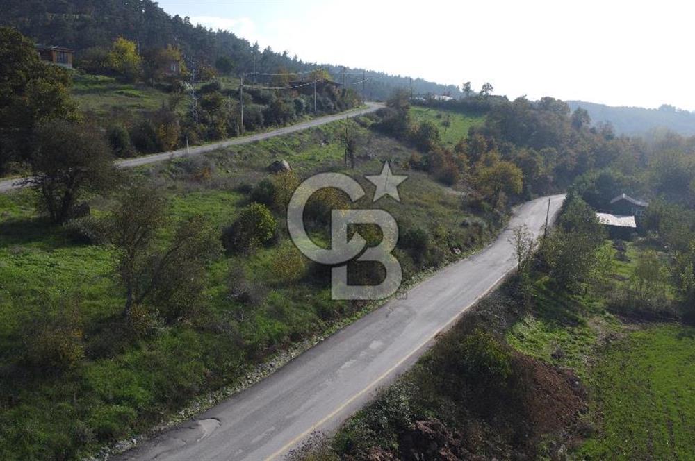 BİGA AKKAYRAK KÖYÜNDE 7337 M2 Sİ İMARLI SATILIK 3/1 HİSSE