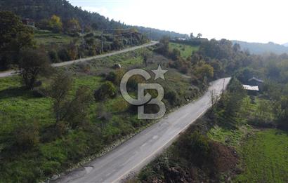 BİGA AKKAYRAK KÖYÜNDE 7337 M2 Sİ İMARLI SATILIK 3/1 HİSSE