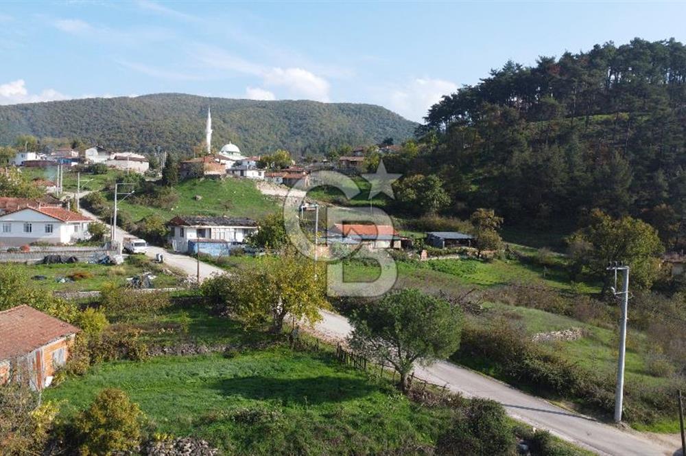 BİGA AKKAYRAK KÖYÜNDE 7337 M2 Sİ İMARLI SATILIK 3/1 HİSSE