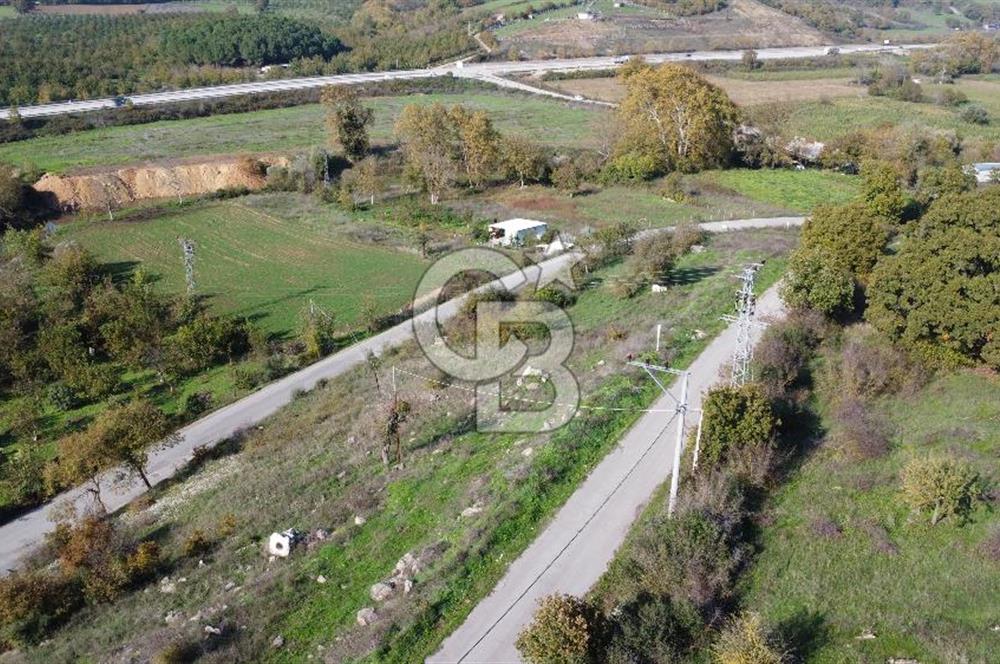 BİGA AKKAYRAK KÖYÜNDE 7337 M2 Sİ İMARLI SATILIK 3/1 HİSSE