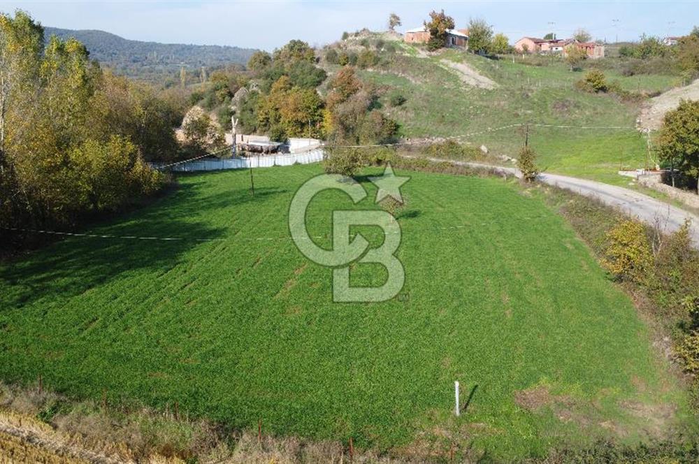 BİGA AKKAYRAK KÖYÜNDE MÜKEMMEL KONUMDA TARLA AÇIKLAMA OKU