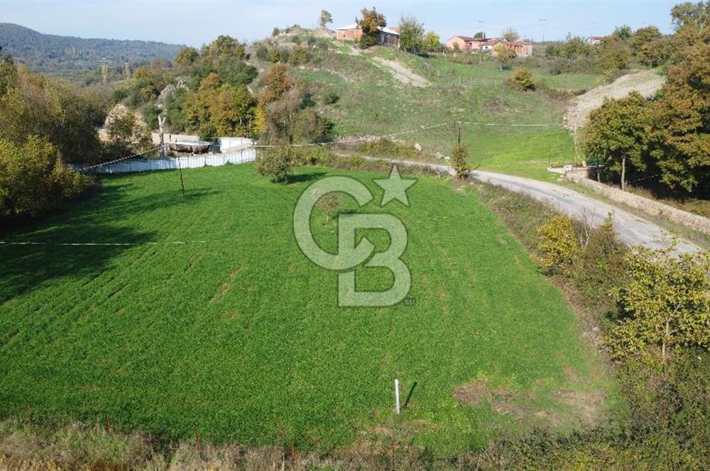 BİGA AKKAYRAK KÖYÜNDE MÜKEMMEL KONUMDA TARLA AÇIKLAMA OKU