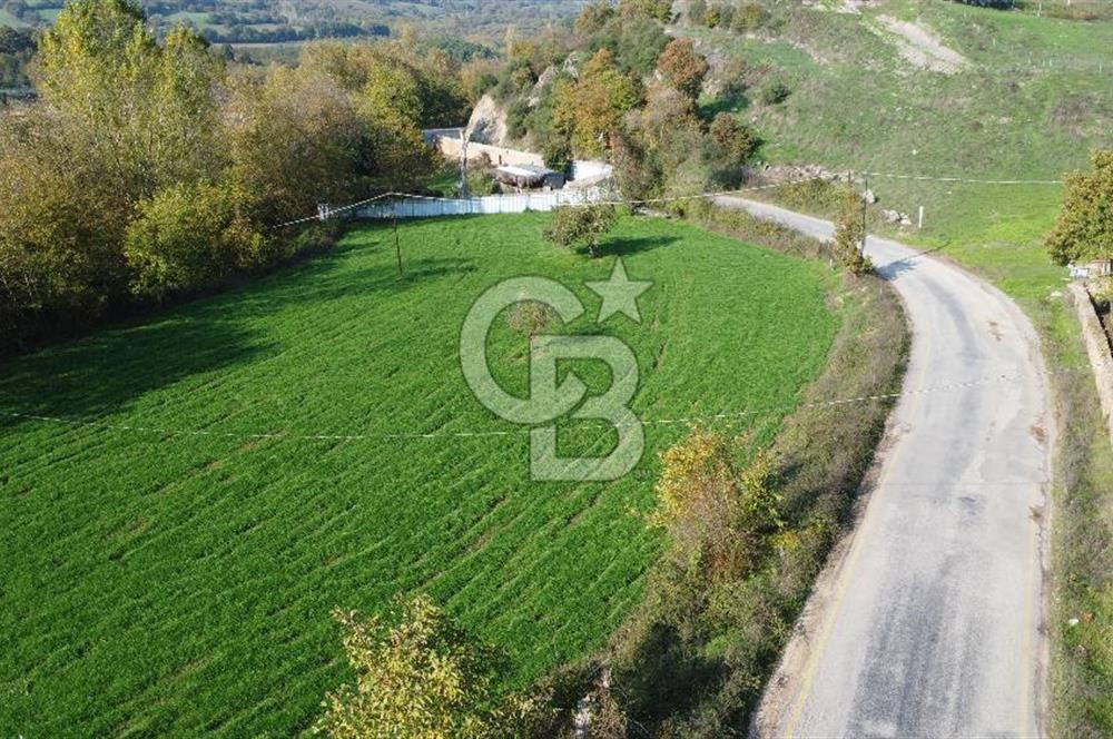 BİGA AKKAYRAK KÖYÜNDE MÜKEMMEL KONUMDA TARLA AÇIKLAMA OKU