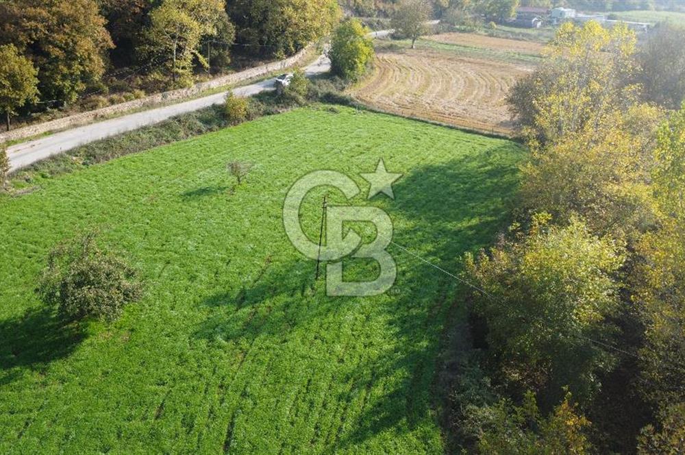 BİGA AKKAYRAK KÖYÜNDE MÜKEMMEL KONUMDA TARLA AÇIKLAMA OKU