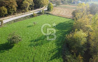 BİGA AKKAYRAK KÖYÜNDE MÜKEMMEL KONUMDA TARLA AÇIKLAMA OKU