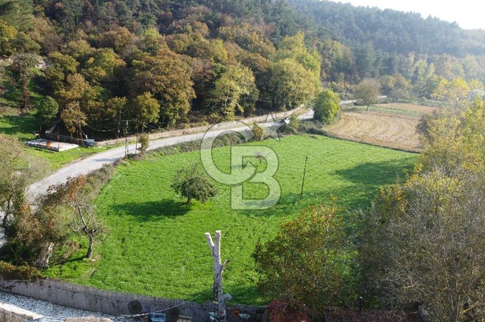 BİGA AKKAYRAK KÖYÜNDE MÜKEMMEL KONUMDA TARLA AÇIKLAMA OKU