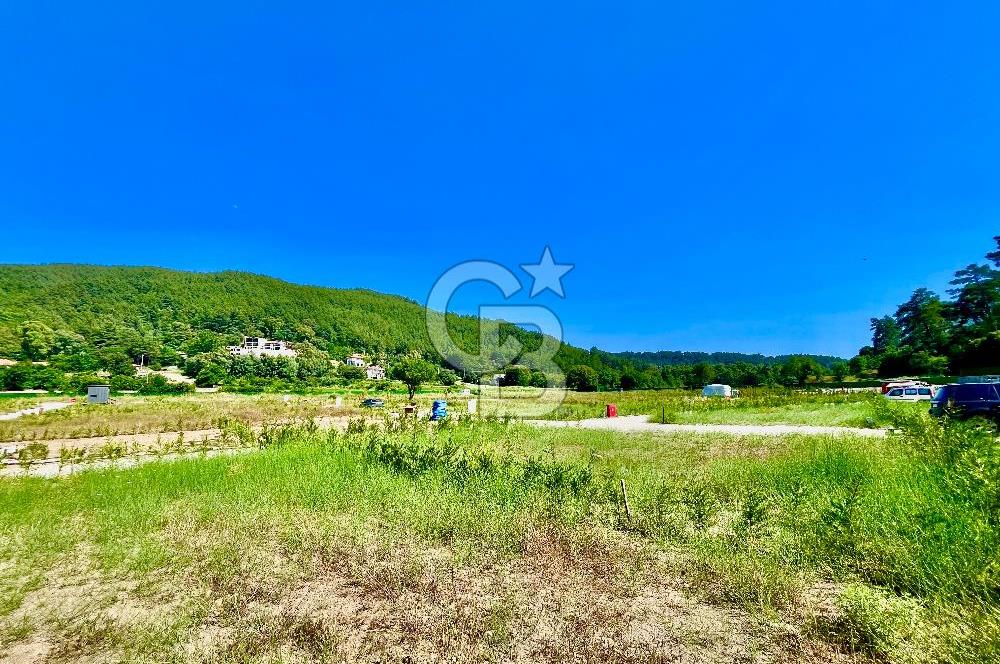 Ula Çıtlık Zeytinnhouse Projesinde Satılık Parsel