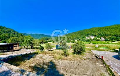 Ula Çıtlık Zeytinnhouse Projesinde Satılık Parsel