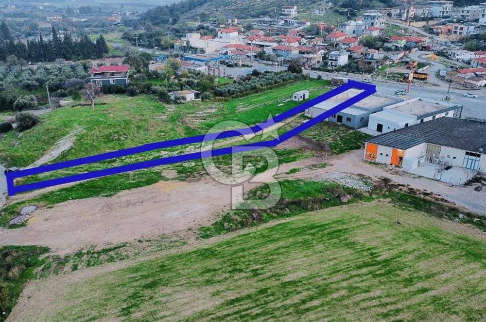 Foça Ilıpınar'da Ana Cadde Üzeri Satılık İşyeri ve Tarla
