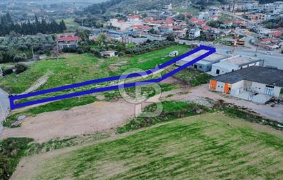 Foça Ilıpınar'da Ana Cadde Üzeri Satılık İşyeri ve Tarla