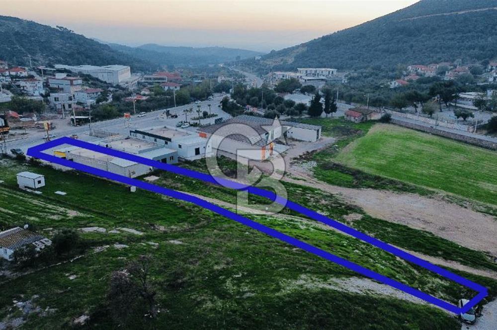 Foça Ilıpınar'da Ana Cadde Üzeri Satılık İşyeri ve Tarla