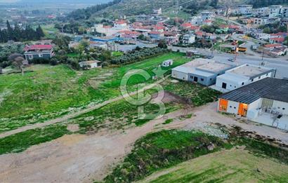 Foça Ilıpınar'da Ana Cadde Üzeri Satılık İşyeri ve Tarla