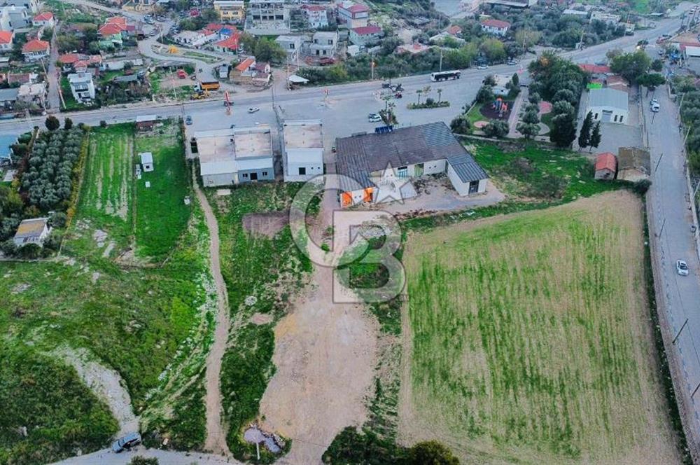 Foça Ilıpınar'da Ana Cadde Üzeri Satılık İşyeri ve Tarla