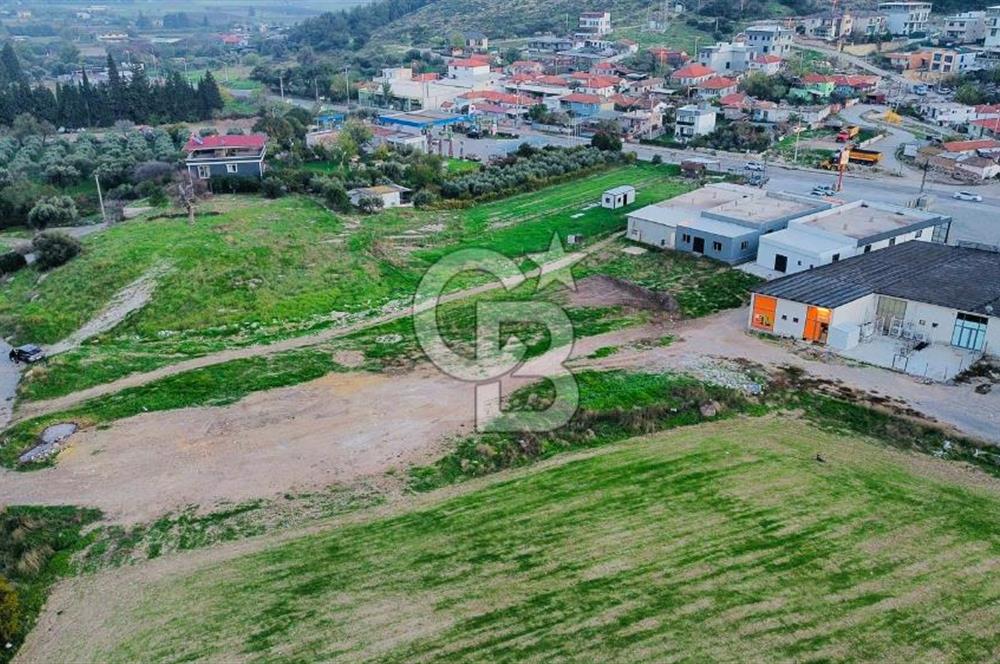 Foça Ilıpınar'da Ana Cadde Üzeri Satılık İşyeri ve Tarla