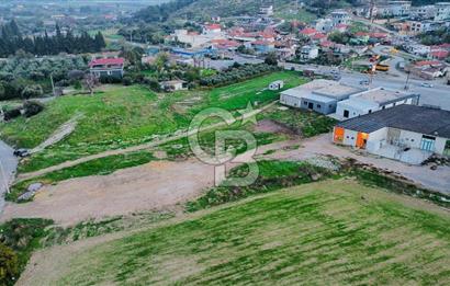 Foça Ilıpınar'da Ana Cadde Üzeri Satılık İşyeri ve Tarla