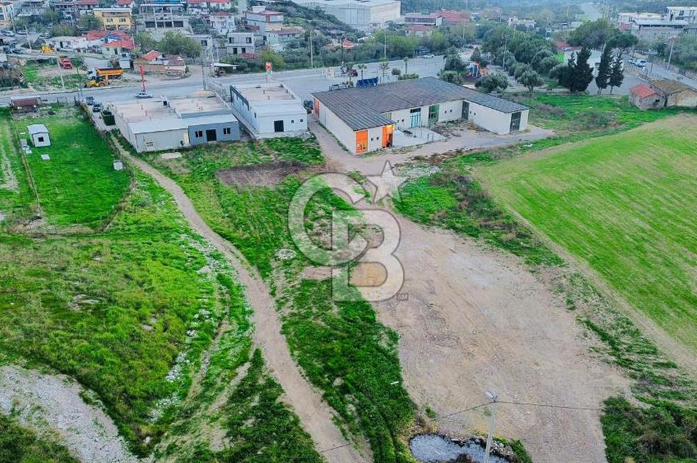 Foça Ilıpınar'da Ana Cadde Üzeri Satılık İşyeri ve Tarla