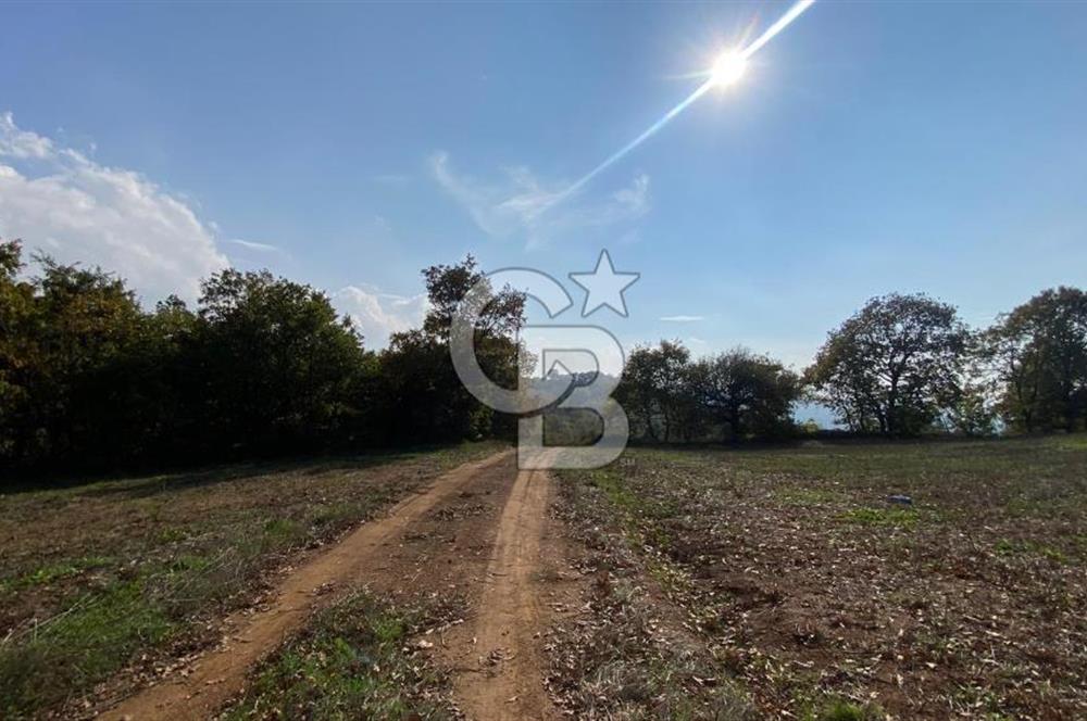 BİGA AKKAYRAK KÖYÜNDE SATILIK 3475 M2 TARLA