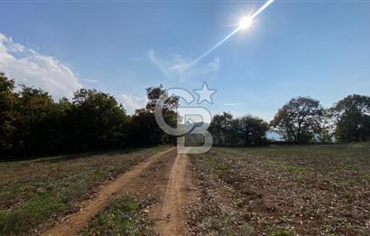 BİGA AKKAYRAK KÖYÜNDE SATILIK 3475 M2 TARLA