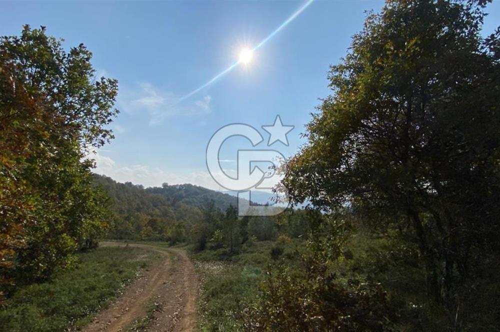 ÇANAKKALE BİGA AKKAYRAK KÖYÜNDE 1800 M2 SATILIK TARLA