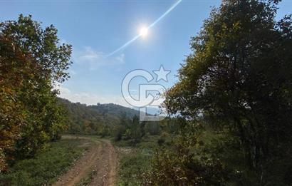 ÇANAKKALE BİGA AKKAYRAK KÖYÜNDE 1800 M2 SATILIK TARLA