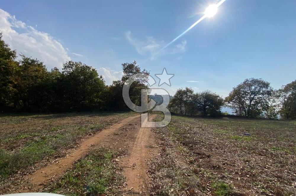 BİGA AKKAYRAK KÖYÜNDE SATILIK 3100 M2 TARLA