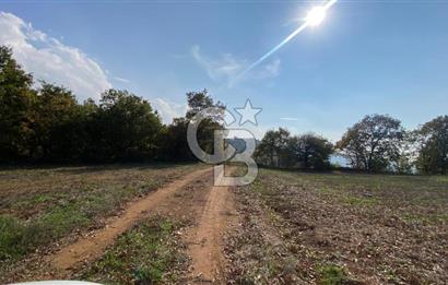 BİGA AKKAYRAK KÖYÜNDE SATILIK 3100 M2 TARLA