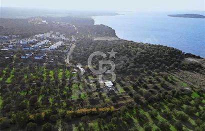 Gömeç'te Denize Yakın Satılık Villa Arsası