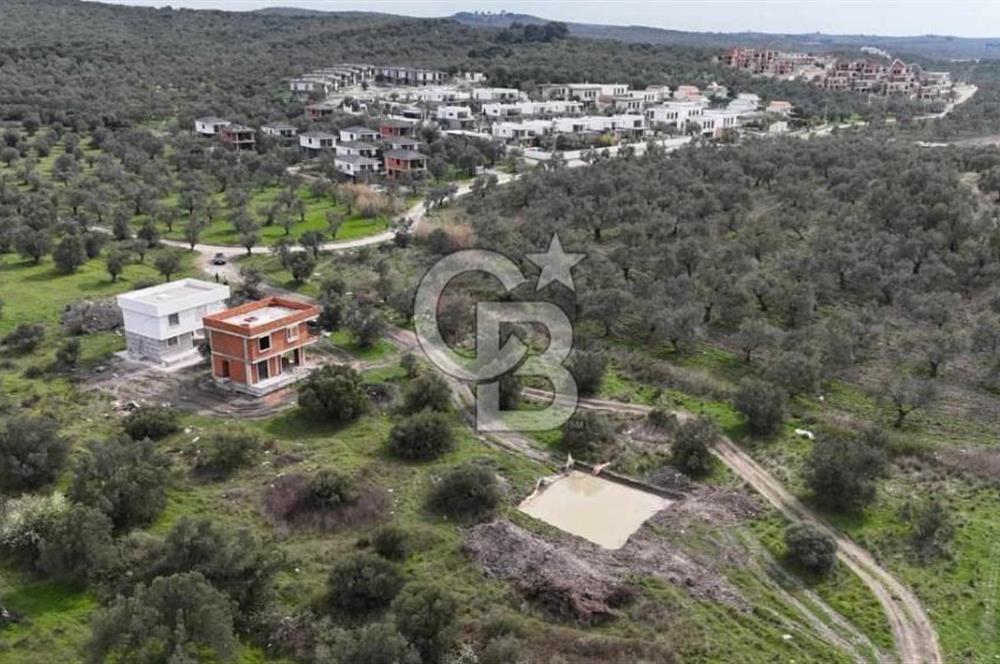 Gömeç'te Denize Yakın Satılık Villa Arsası