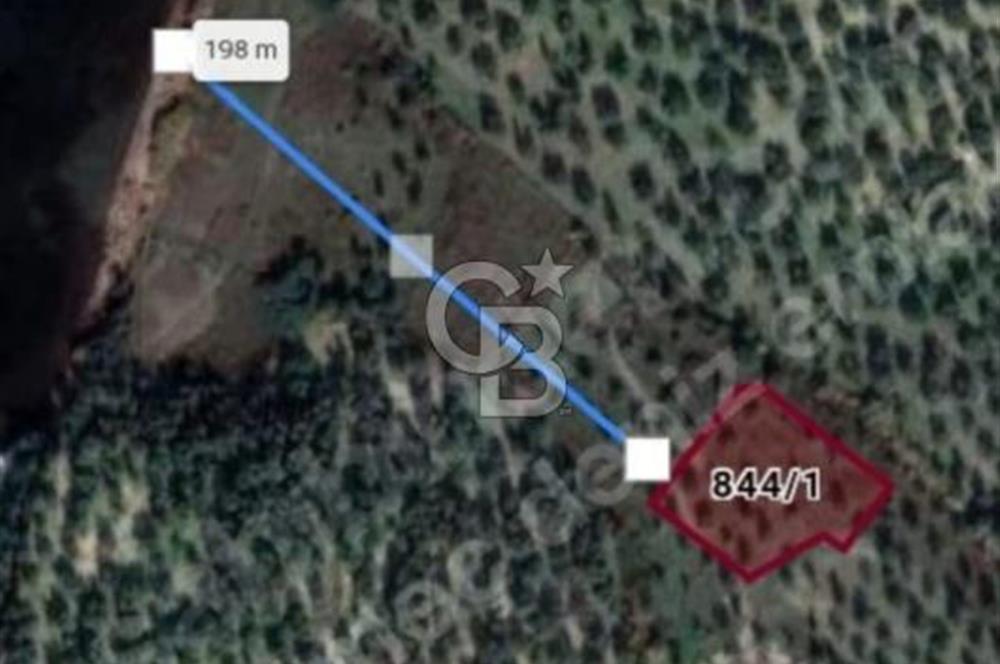 Gömeç'te Denize Yakın Satılık Villa Arsası