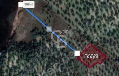 Gömeç'te Denize Yakın Satılık Villa Arsası