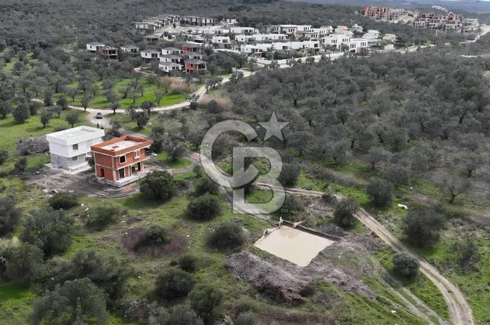 Gömeç'te Denize Yakın Satılık Villa Arsası