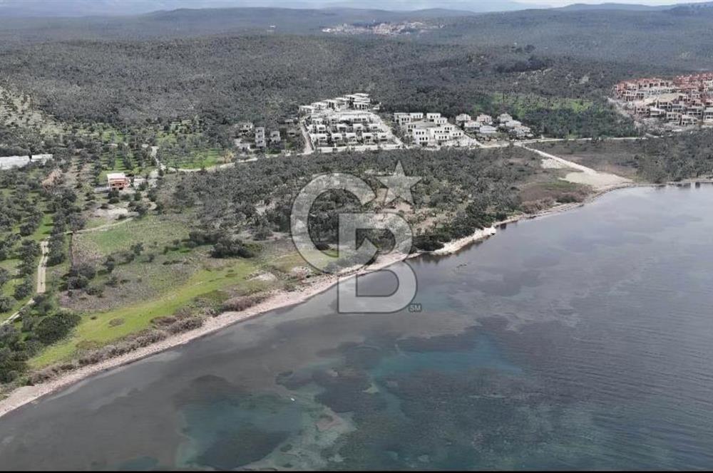 Gömeç'te Denize Yakın Satılık Villa Arsası