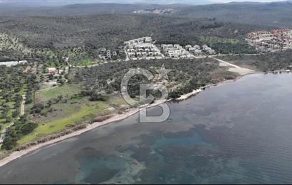 Gömeç'te Denize Yakın Satılık Villa Arsası
