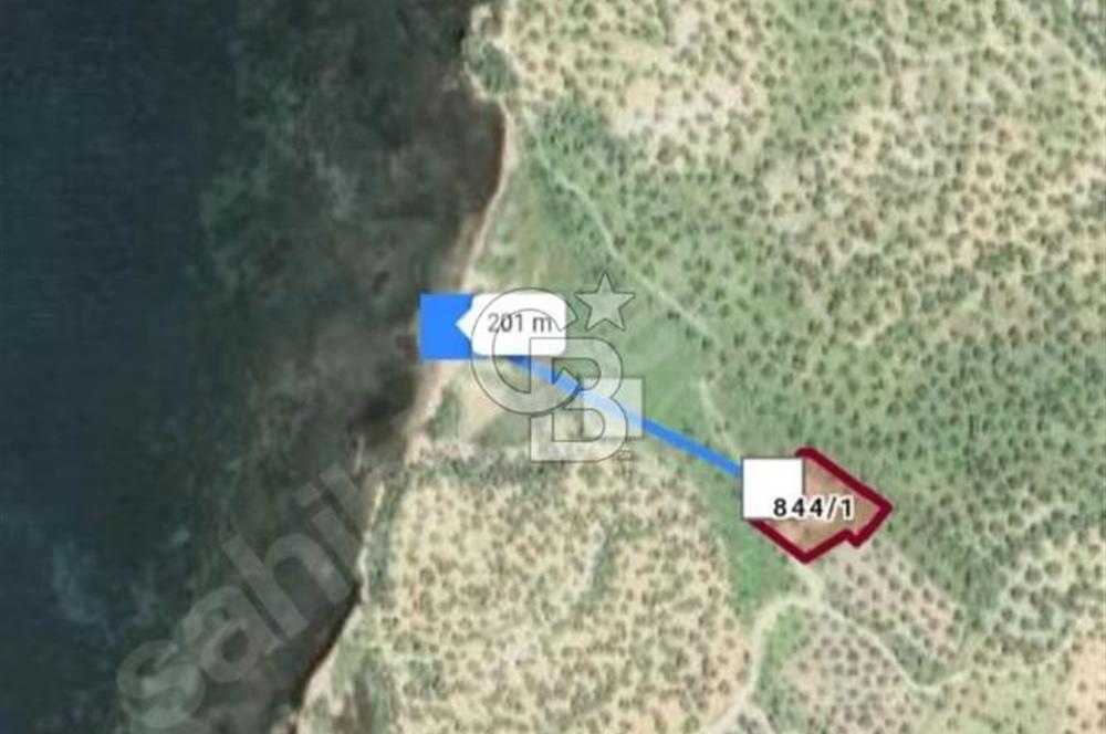 Gömeç'te Denize Yakın Satılık Villa Arsası