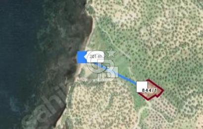 Gömeç'te Denize Yakın Satılık Villa Arsası