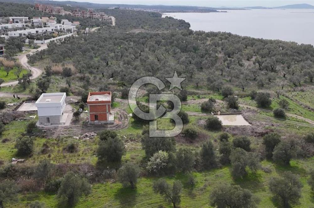 Gömeç'te Denize Yakın Satılık Villa Arsası