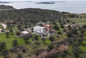 Gömeç'te Denize Yakın Satılık Villa Arsası - 5 - 313019